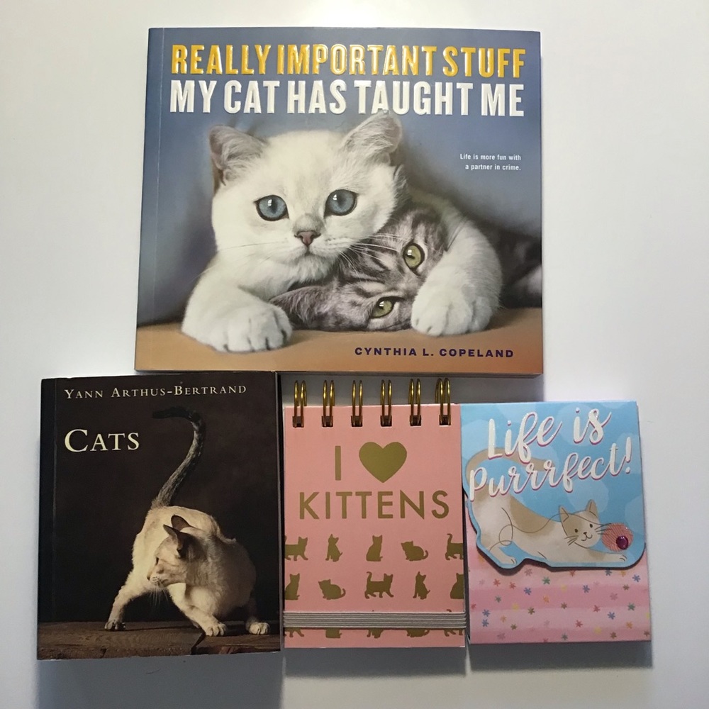 Lot of 4 NEW cat kitty feline books and notepads PB